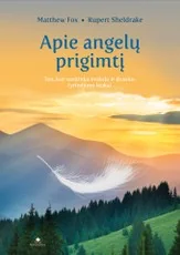 APIE ANGELŲ PRIGIMTĮ: ten, kur susitinka mokslo ir dvasios tyrinėjimo laukai