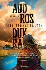 Audros dukra