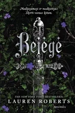 Bejėgė. Pirma knyga