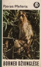 Borneo džiunglėse — kelioniu-istorijos1
