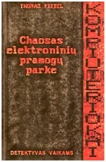 Chaosas elektroninių pramogų parke