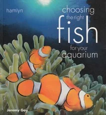 Choosing the Right Fish for Your Aquarium — gyvunai-gamta