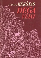 Dega vėjai
