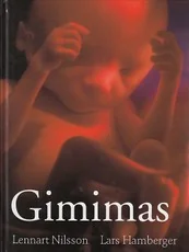 Gimimas — nestumas-ir-gimdymas