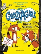 Gūdžiagirė