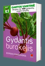 Gydantis burokėlis