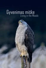 Gyvenimas miške