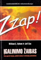 Įgalinimo žaibas