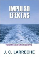 Impulso efektas. Veiksmingo augimo paslaptys