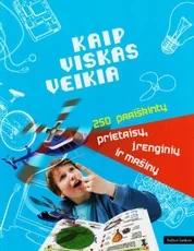 Kaip viskas veikia