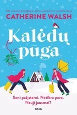 Kalėdų pūga — meiles-romanai