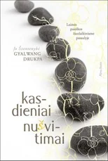 Kasdieniai nušvitimai. Laimės paieškos šiuolaikiniame pasaulyje