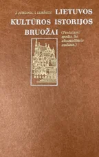 Lietuvos kultūros istorijos bruožai — istorija