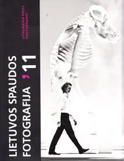 Lietuvos spaudos fotografija '11