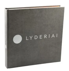Lyderiai — karjera-ir-finansai