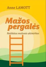 Mažos pergalės: netikėtos malonės akimirkos