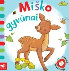 Mažylio akademija. Miško gyvūnai