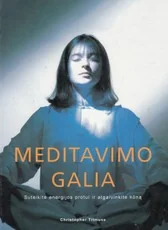 Meditavimo galia — dvasingumas-ir-pasamone