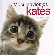 Mūsų žaviosios katės