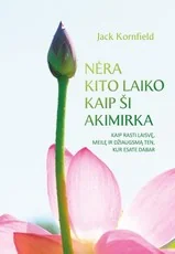 NĖRA KITO LAIKO KAIP ŠI AKIMIRKA: kaip rasti laisvę, meilę ir džiaugsmą ten, kur esate dabar