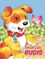 Padauža Rudis