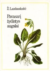 Pavasarį žydintys augalai — gamtos-zinynai
