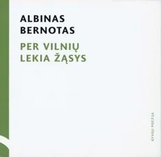Per Vilnių lekia žąsys (su CD)