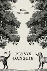 Plyšys danguje