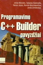 Programavimo C++ Builder pavyzdžiai — kompiuterija-ir-informacines-technologijos