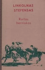Raitas berniukas — grozine-literatura-jaunimui