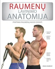 Raumenų lavinimo anatomija: pratimai raumenų masei didinti