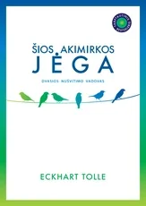 ŠIOS AKIMIRKOS JĖGA: dvasios nušvitimo vadovas