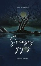 Šviesos gijos