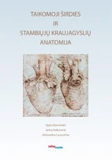 Taikomoji širdies ir stambiųjų kraujagyslių anatomija