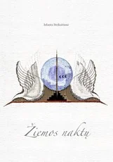 Žiemos naktų