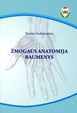 Žmogaus anatomija. Raumenys — medicina