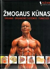 Žmogaus kūnas: organai, organizmo sistemos, funkcijos — enciklopedijos-zinynai-vaikams