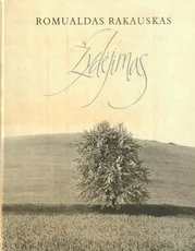 Žydėjimas